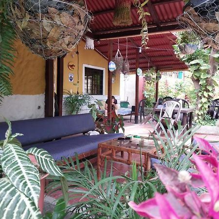 Mi Refugio Tayrona Hotel Santa Marta  Exterior foto