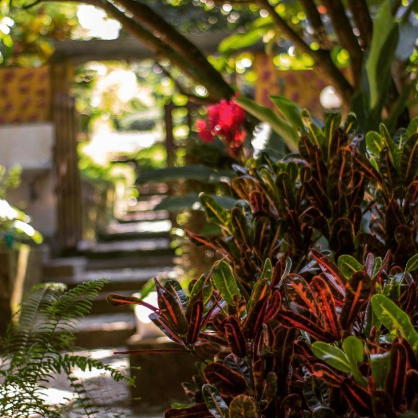 Mi Refugio Tayrona Hotel Santa Marta  Exterior foto