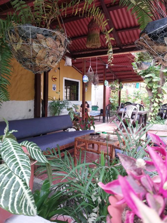 Mi Refugio Tayrona Hotel Santa Marta  Exterior foto