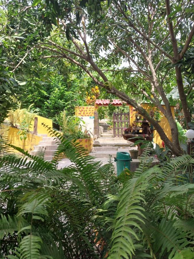 Mi Refugio Tayrona Hotel Santa Marta  Exterior foto